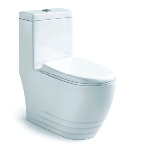 China Supplier Bathroom Standing Floor Toilet Seat (S7502)